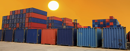 Лицензии на экспорт и импорт товаров, имеющих ограничения на ввоз