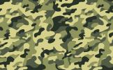 Контрактники получили новые социальные гарантии