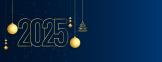 С новым 2025 годом! 