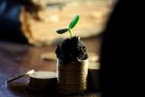 Непропорциональные дивиденды: платить ли страховые взносы