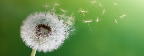 Ветер перемен: к чему готовиться малому бизнесу