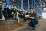 Продажа собственного оборудования и транспорта может лишить фермера права на ЕСХН