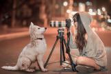 Фотограф на ПСН: это возможно