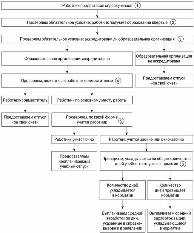 алгоритм нужно ли оплачивать учебный отпуск.jpg