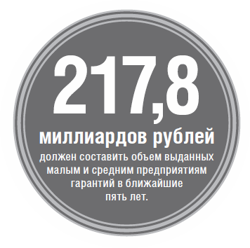217,8 миллиардов рублей должен составить объем выданных  малым и средним предприятиям  гарантий в ближайшие  пять лет