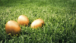 Доходы предпринимателя от продажи земельных участков