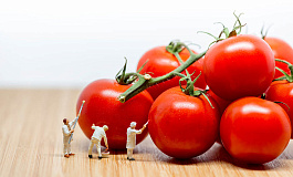 НДС на ЕСХН: право или обязанность?