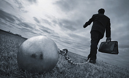 Новый отчет для фирм и ИП – «экологический»