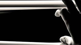 Как выявить фирму-однодневку