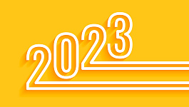 Календарь сдачи отчетности в 2023 году фирмой на УСН