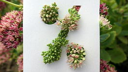 Ретро-скидки и ретро-бонусы: это ошибка или доход?