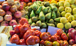 ФАС проверяет цены