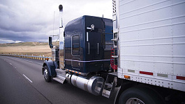 Страсти по «Платону»