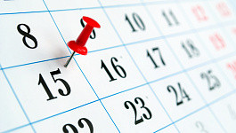 Когда в феврале сдавать СЗВ-ТД и что грозит за опоздание?