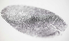 Обязательный ИНН. Выполнять ли требования ФНС?