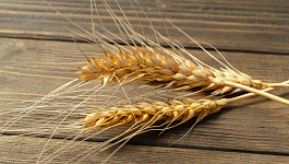 Кто может применять пониженную ставку земельного налога?