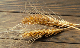 Кто может применять пониженную ставку земельного налога?