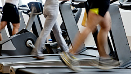 Все ли работодатели должны оплачивать сотрудникам занятия спортом