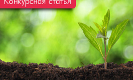 Земельный налог и его оптимизация (Конкурс на лучшую статью)