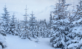 Новости последней недели января 2026 года: внереализационные расходы, индексация на 5,6 % для детских пособий