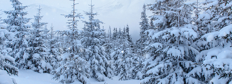 Новости последней недели января 2026 года: внереализационные расходы, индексация на 5,6 % для детских пособий