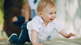 Декретные выплаты при работе по срочному трудовому договору