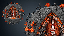 НДФЛ в связи с коронавирусом — дайджест