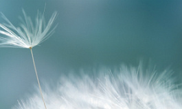 Уплата НДФЛ при переводе с расчетного счета ИП на счет физлица