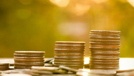 Оклад в размере МРОТ