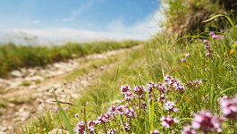 О чем стало известно с 17 по 21 июля 2023 г.: новый расчет отпускных, утильсбор, повысят штрафы