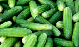 Налоговая база по земельному налогу может меняться со следующего налогового периода