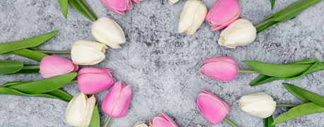 Новости первой рабочей недели марта 2026 года: счет-фактуры, единое пособие, заполнения платежных поручений