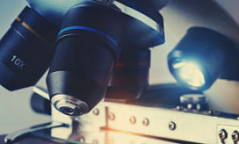 О проверке обоснованности расходов при выездной проверке