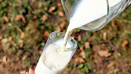 Молоко для «невредных»: НДФЛ и страховые взносы