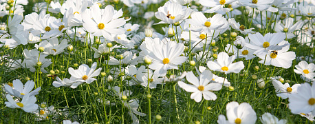 Особенности учета сезонного производства. Сезонность по НК РФ с 2026 года. 