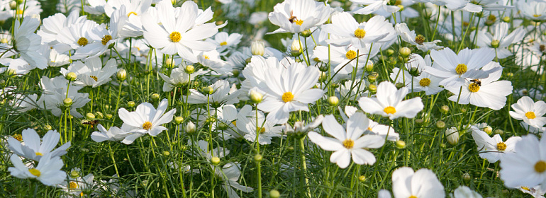 Особенности учета сезонного производства. Сезонность по НК РФ с 2026 года. 