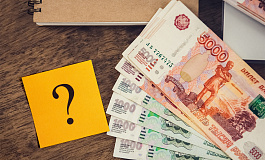 Получил «вирусные» субсидии! А как потратить?