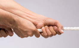 Самые важные изменения в учете по оценке экспертов Бератора