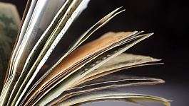 Главное за неделю 10 - 16 ноября