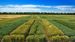 Изменилась кадастровая стоимость земли - отражаем в бухучете