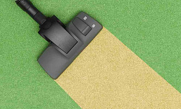 Популяция «однодневок» резко сократилась