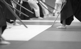 «Судебное айкидо»: как отбиться от доначислений, сыграв на ошибках налоговиков