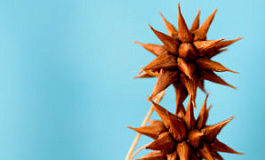 Социальный вычет по договорам страхования жизни можно заявлять, начиная с 2016 года