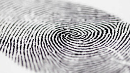 Как заполнить новую форму персонифицированного учета — СПВ-2 (примеры)