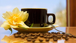 Посредники вне зоны действия льгот по НДС