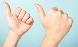 Дубликат трудовой книжки