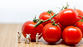 Правонарушения и наказание: ВС РФ разобрался с «множественным» и «однородным»