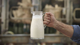 НДФЛ и страховые взносы с компенсации стоимости молока за «вредность»