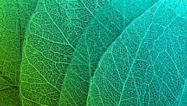 Как не попасть под санитарно-эпидемиологические санкции