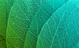 Как не попасть под санитарно-эпидемиологические санкции